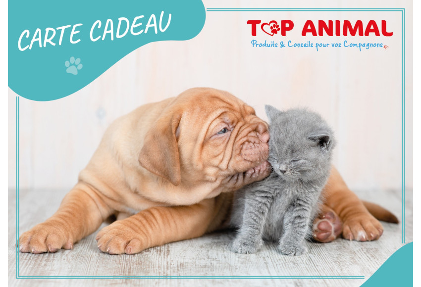 NOUVEAUTE : CARTE CADEAU TOP ANIMAL !